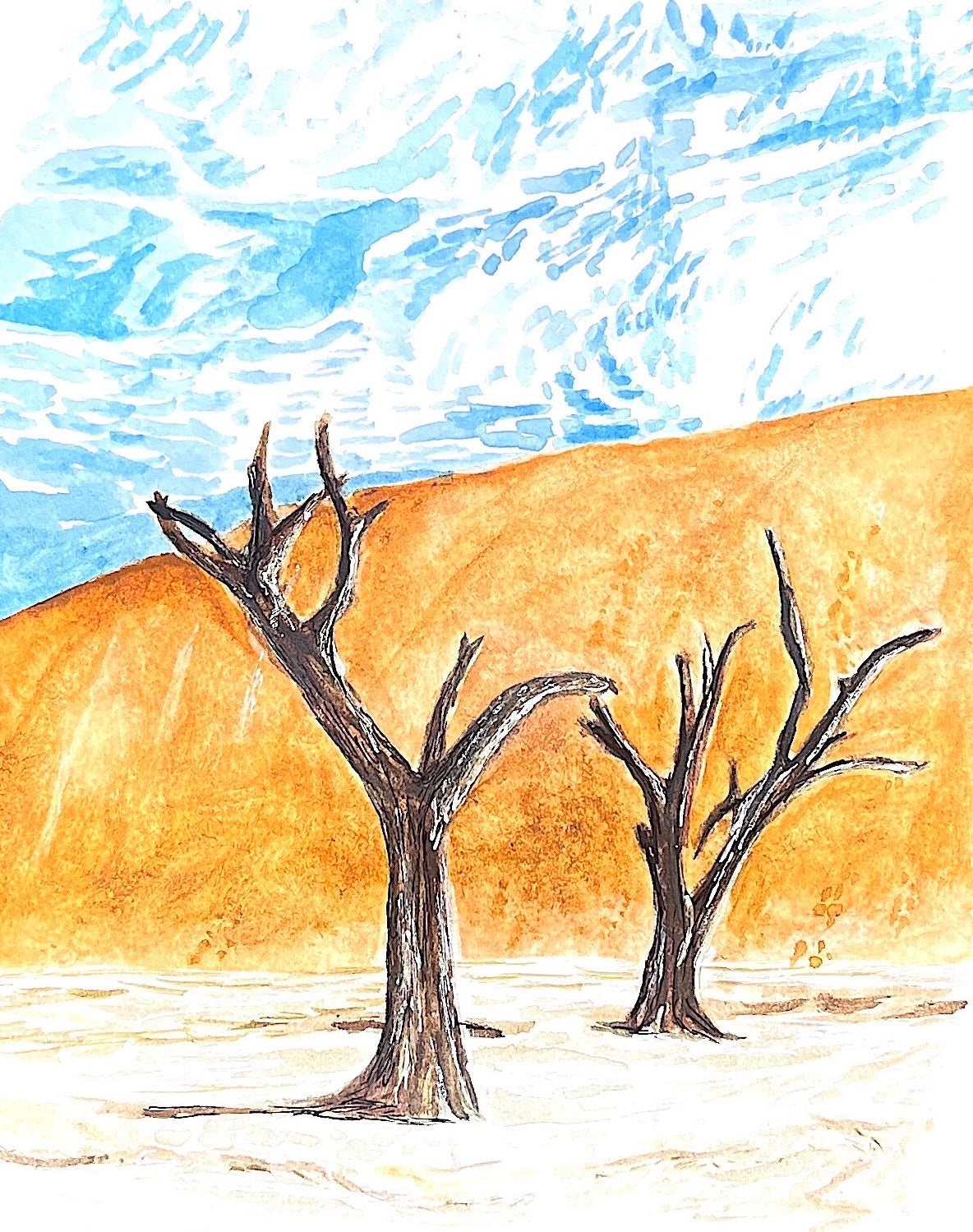 namib desert trees (fine art print)