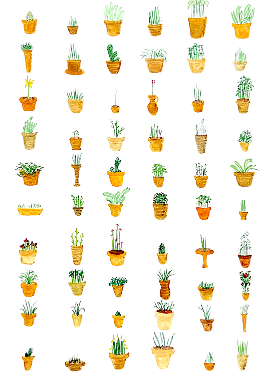 all of the plants (digital download print)