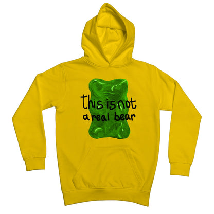 this is not a real bear Kids Hoodie