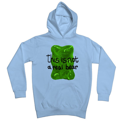 this is not a real bear Kids Hoodie